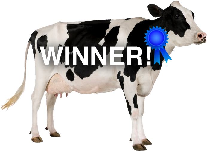 Baby Touch And Feel Farm Animals By Dk (799x601), Png Download