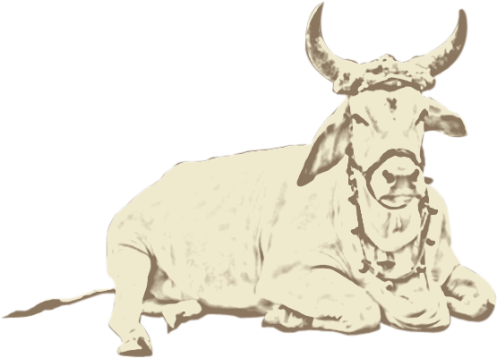 Indian Cow Ghee - Sales (498x359), Png Download