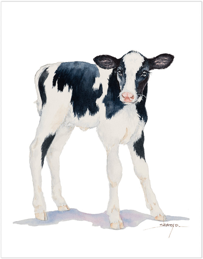 Baby Cow Wall Art - Baby Of Cow Png (900x900), Png Download