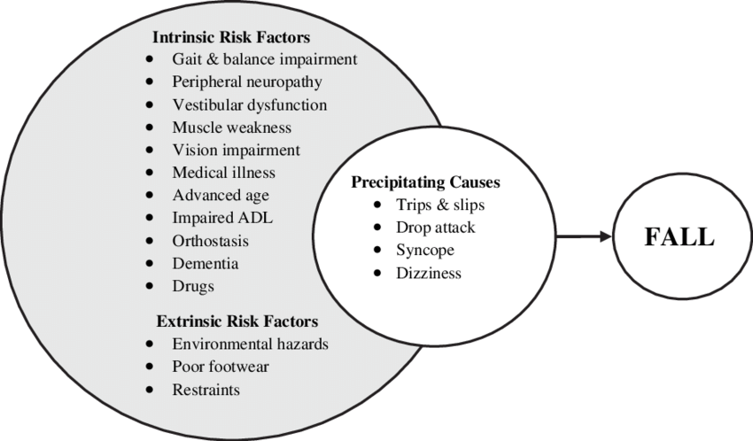 The Multifactorial And Interacting Causes Of Falls - Science (850x498), Png Download
