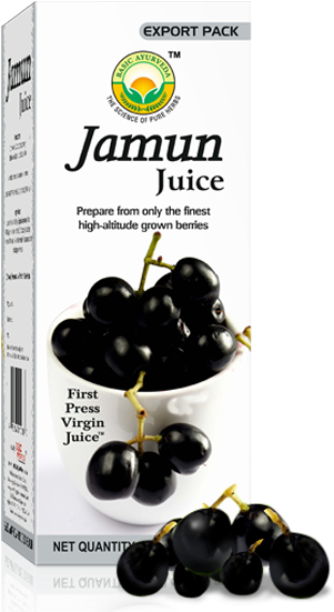Basic Ayurveda Jamun Juice 480ml - Basic Ayurveda Jamun Juice 960ml (600x600), Png Download