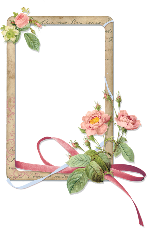Décorations Diverses Flower Border Png, Floral Border, - Looks Like A Page Out Of A Garden Magazine This Lovely (516x800), Png Download