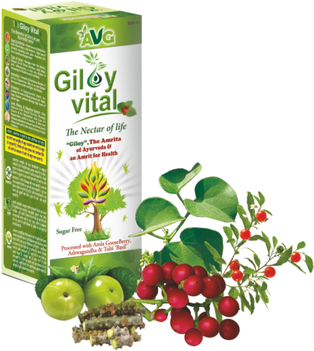 Wonderful Uses Of Neem Karela Jamun And Giloy For Health - Giloy Juice (500x554), Png Download