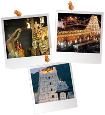 Tirumala Venkateswara, Tirupati - Tirumala Venkateswara Temple (347x380), Png Download