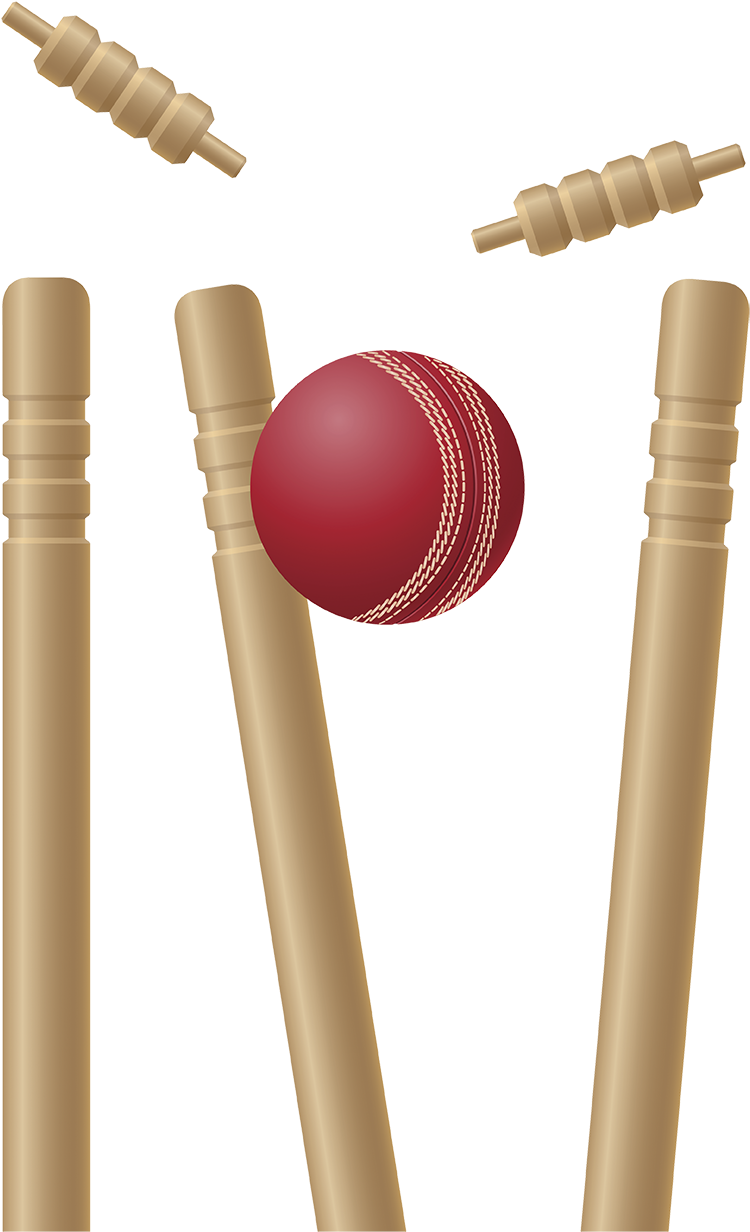 Cricket Stumps Png Pic - Cricket Bat And Ball And Wickets (992x1276), Png Download