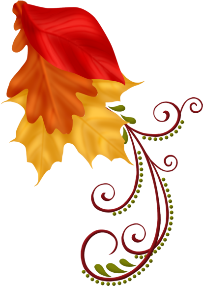 .net (456x600), Png Download