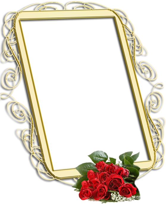 For Menot Frames Frames Frame Png - Picture Frame (600x684), Png Download