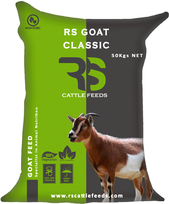 Average Composition - Goat (600x698), Png Download