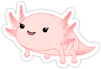 Axolotl Baby Kawaii By Pendientera - Stickers De Ajolotes (375x360), Png Download