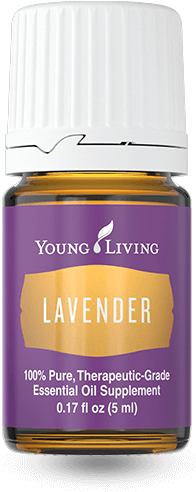 Youngliving Reviews - Lavender Young Living Transparent (300x550), Png Download