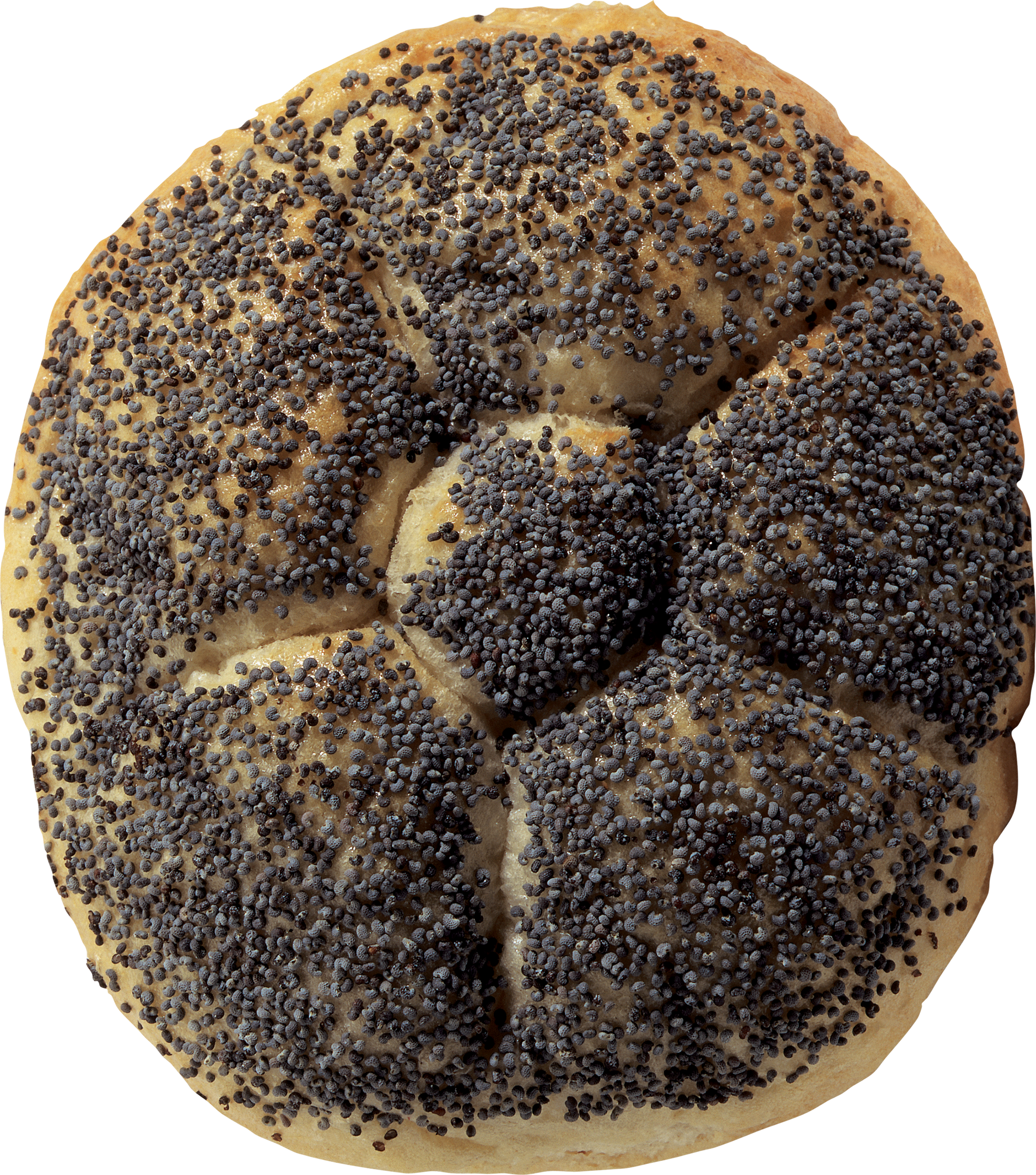 Brush - Bread (2012x2282), Png Download