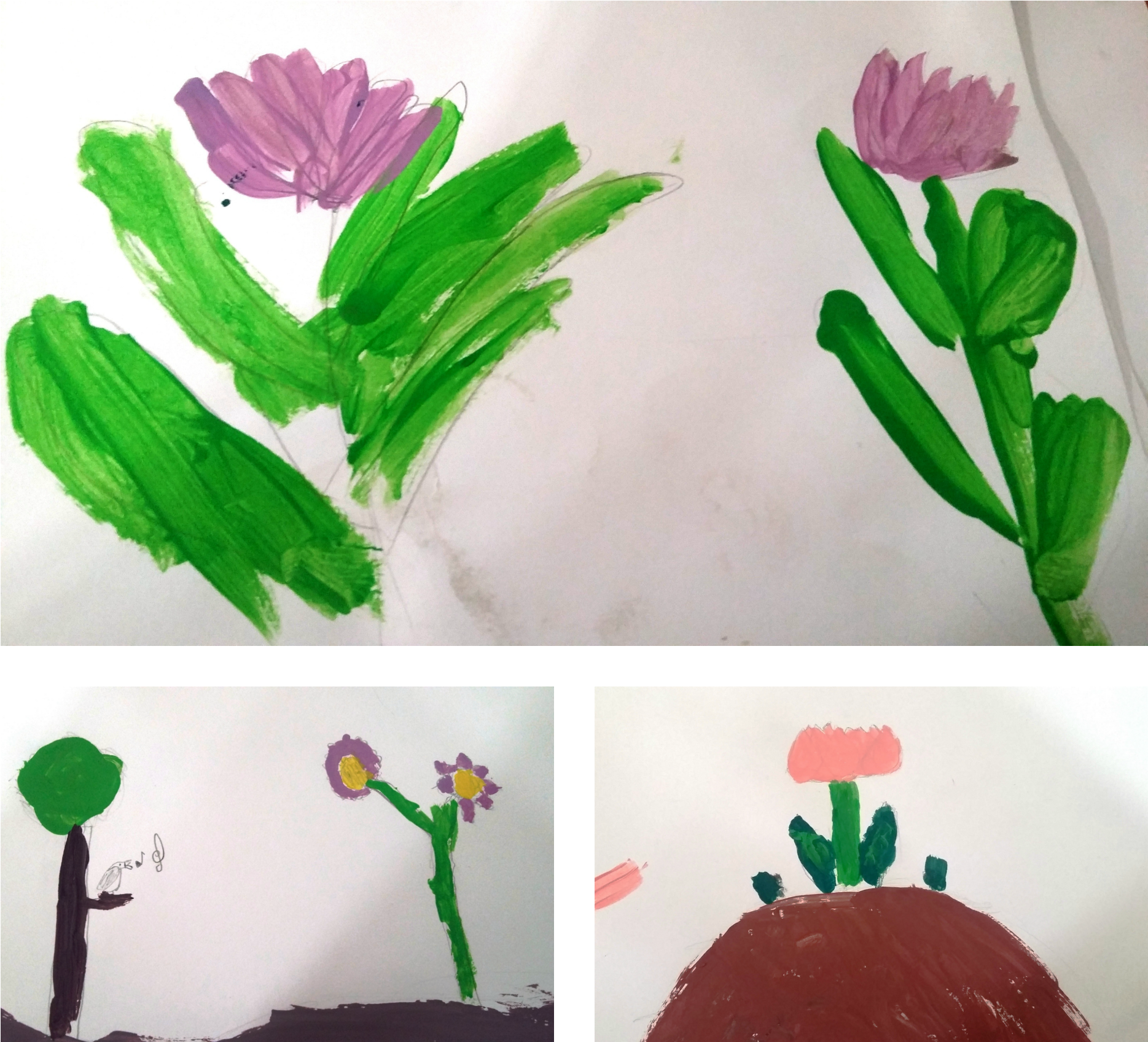 Collage Picmonkey 2 - Red Clover (2000x2000), Png Download