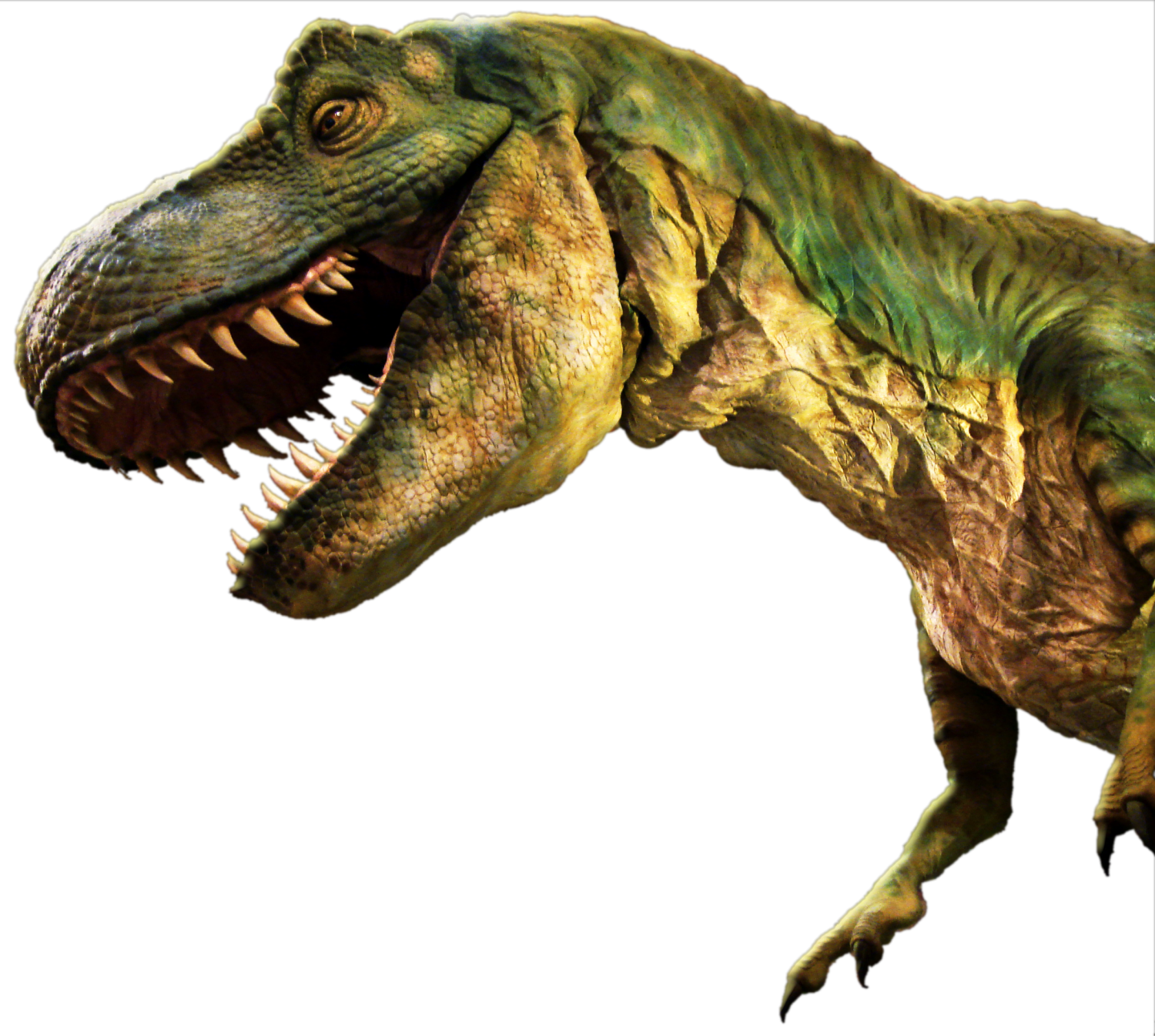 Dinosaur Png - Dinossauro Png (1500x1346), Png Download