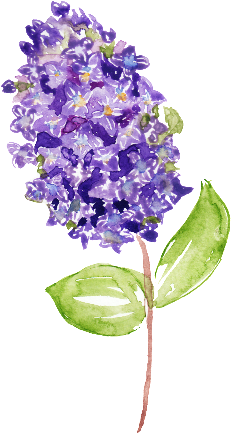 Purple Flower Branch Decoration Vector About Flowers,green - Lilac (1024x1835), Png Download