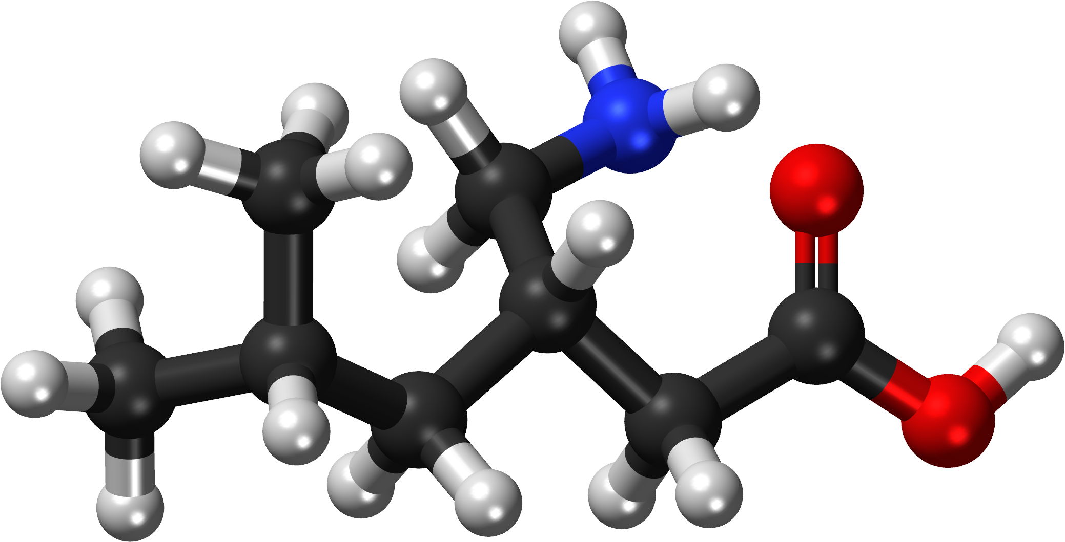 Pregabalin Ball And Stick Model - Buteric Acid (2153x1134), Png Download
