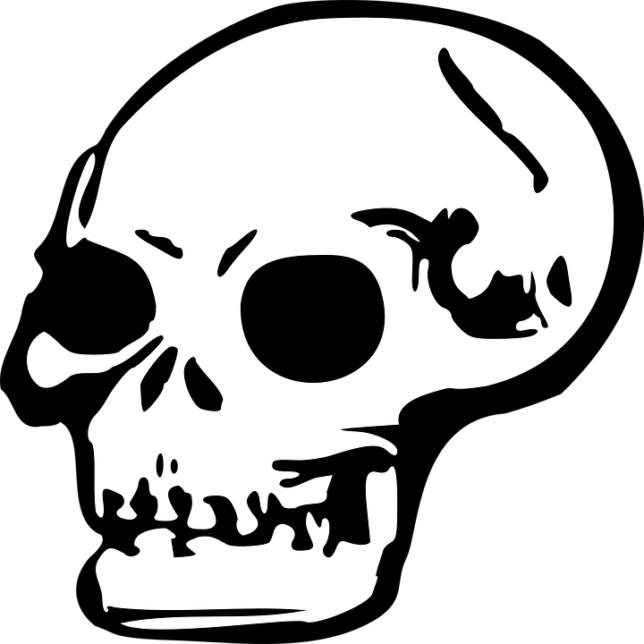 The Editing Of The Human Skull - Skull Clip Art (600x600), Png Download