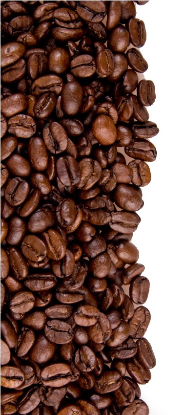 Coffee Beans Png Image - Coffee Beans Border Png (566x848), Png Download