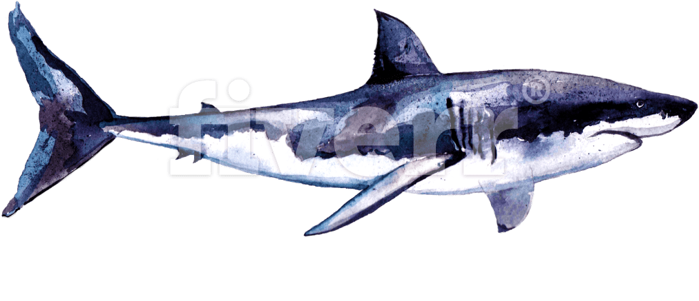 Great White Shark (1200x618), Png Download