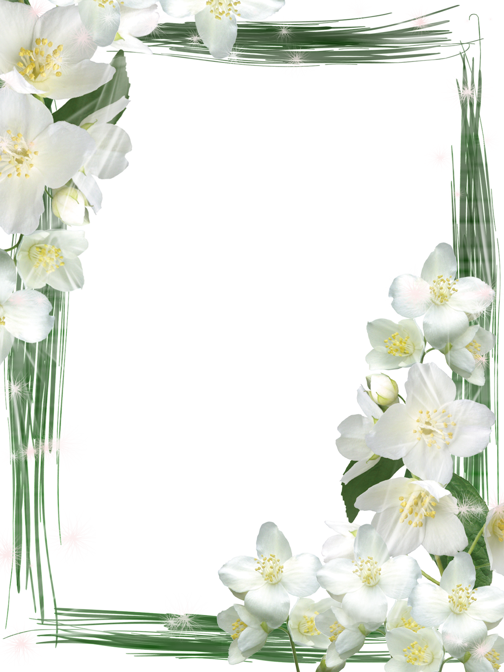 White Frame Png (1650x2200), Png Download