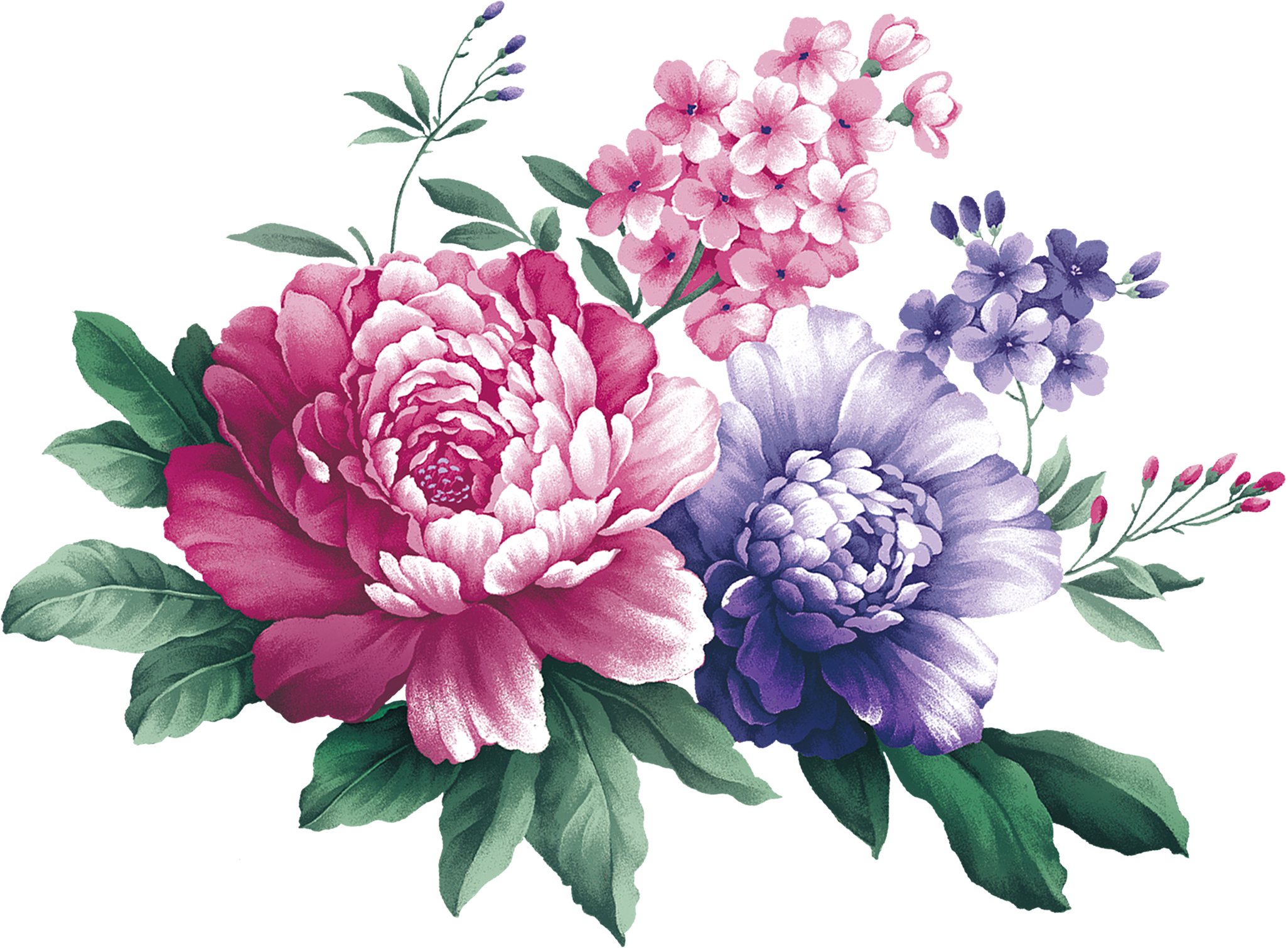 Svg Black And White Stock Floral Design Centifolia - Flower (2052x1511), Png Download