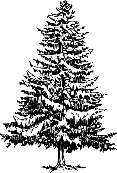 Original Png Clip Art File Pine Tree Svg Images Downloading (402x594), Png Download