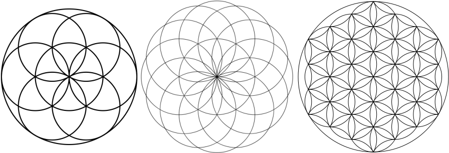 Seed Of Life Tube Torus Flower - Seed Of Life (912x304), Png Download