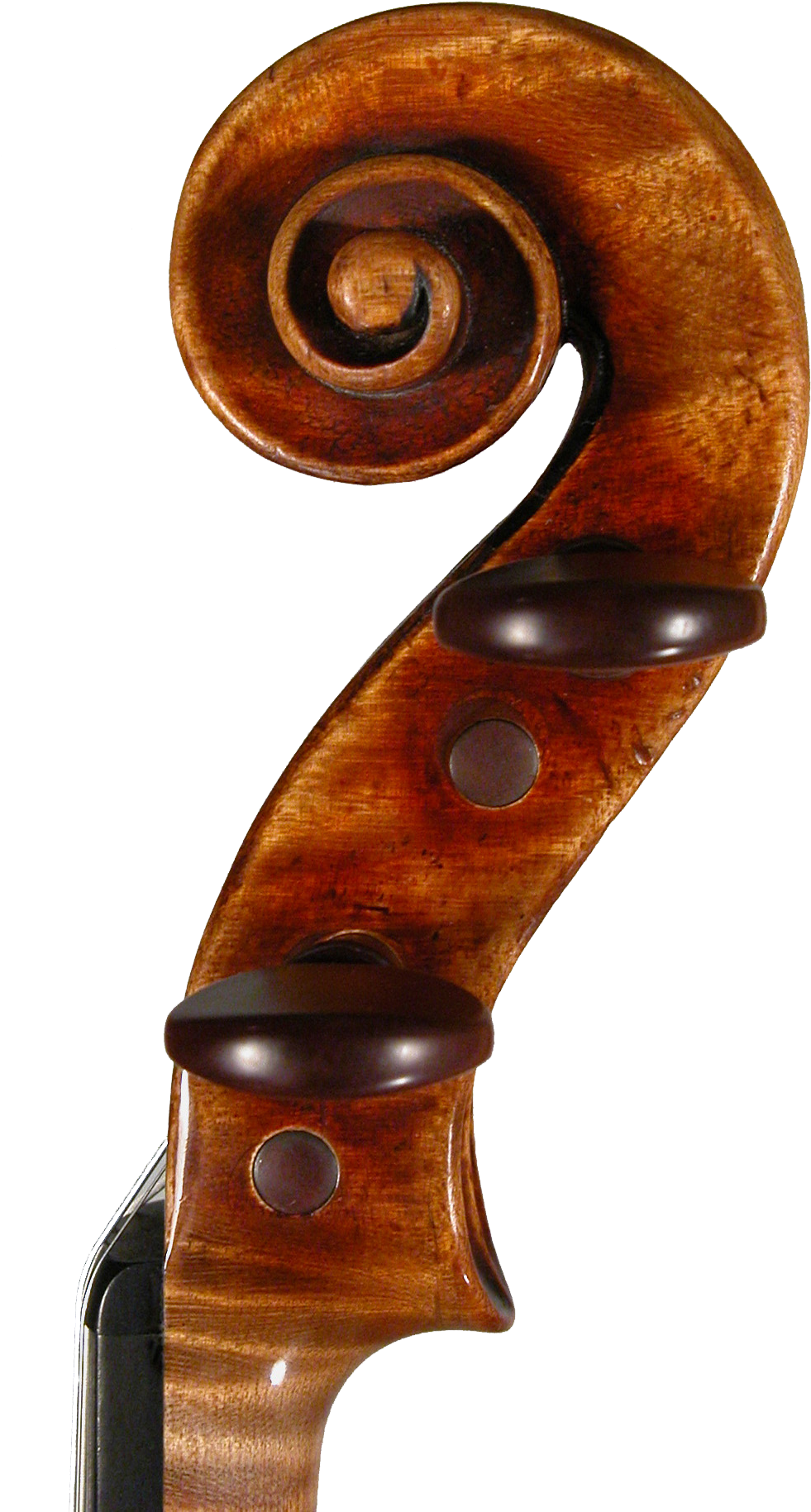 Picture Right Side Scroll Violin - Violin (1104x1925), Png Download