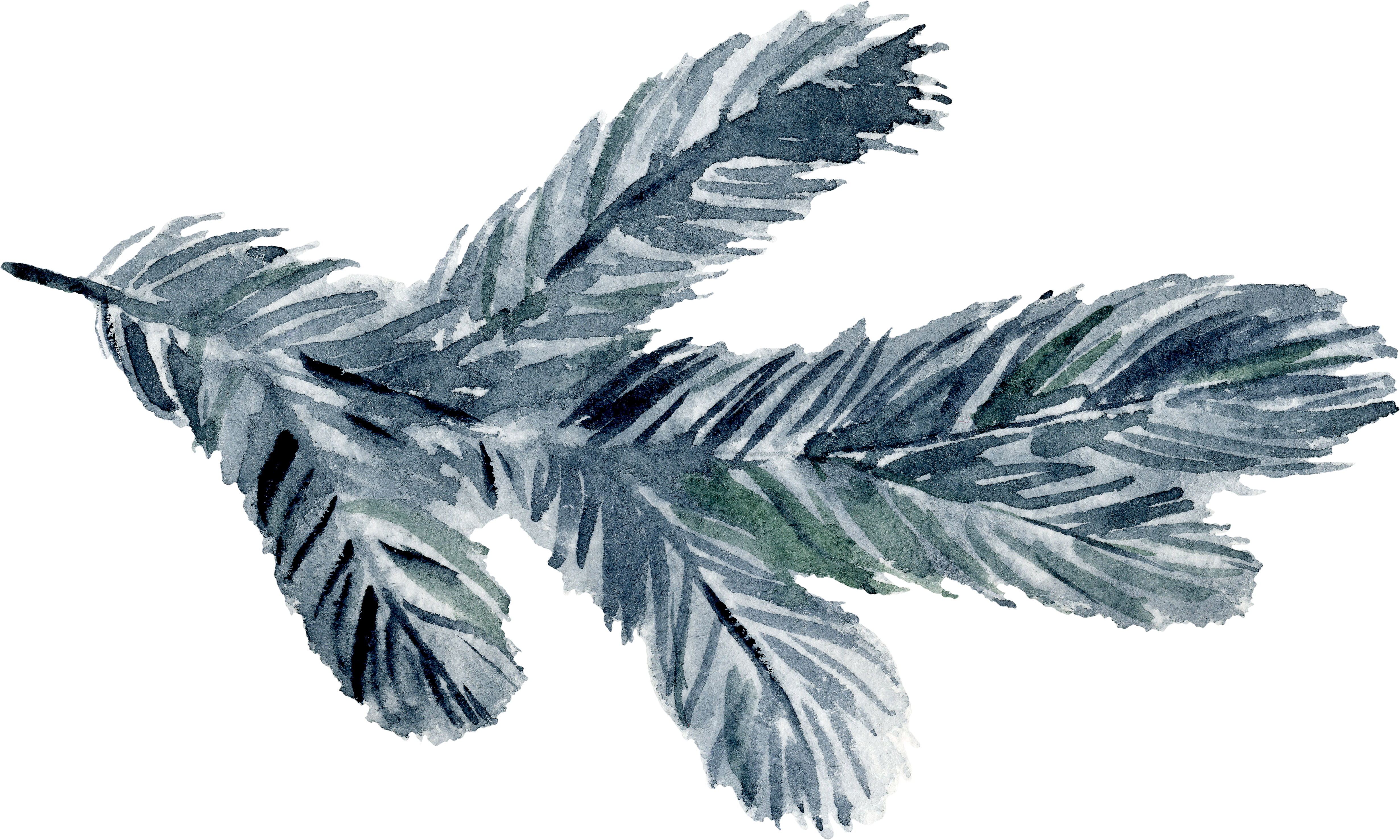 Flr (4922x2954), Png Download
