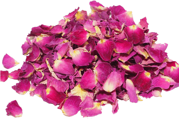 Petalos De Rosas Rosas Png (588x477), Png Download