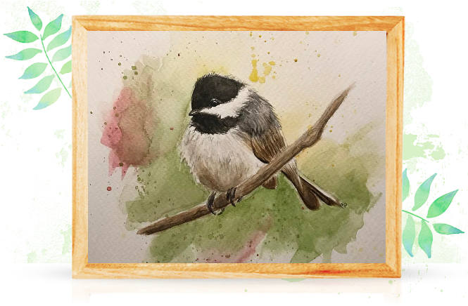 My Style - Black Capped Chickadee (664x472), Png Download