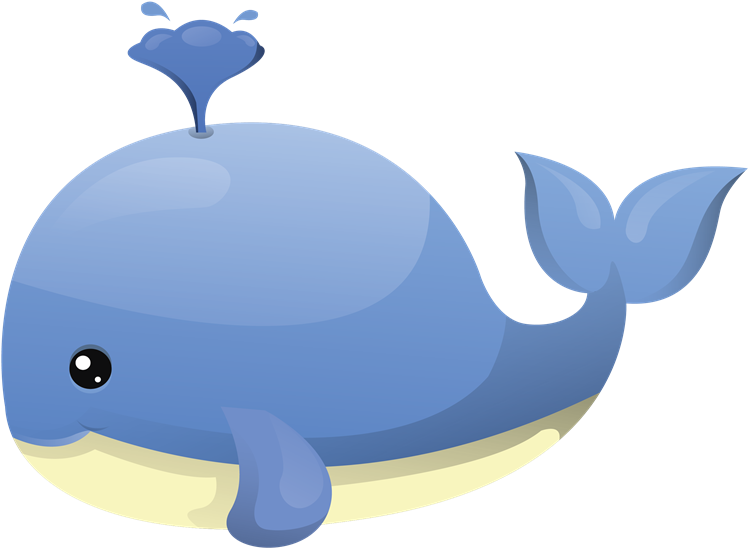 Cute Whale Transparent Png - Whale Clipart (800x606), Png Download