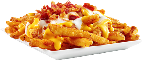 Loaded Fries Png (500x500), Png Download