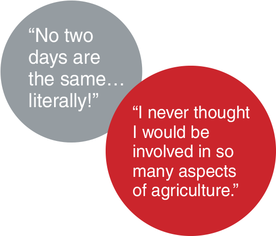 On Any Given Day, You May - Smokers Skin (589x494), Png Download