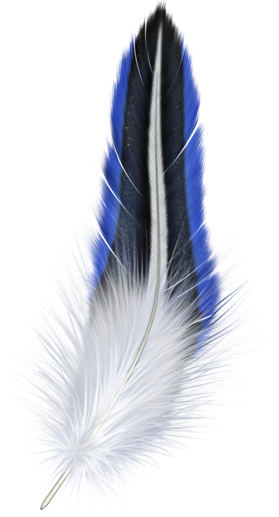 Blue And White Feather Clipart - Blue And White Feather (553x1024), Png Download