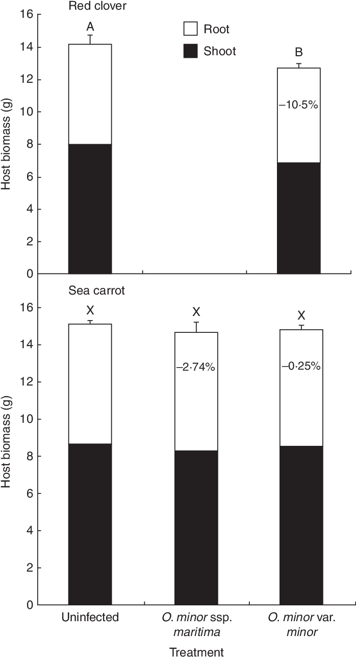 Mean Host Biomass From Pot-cultivated Red Clovers And - Pattern (700x1291), Png Download