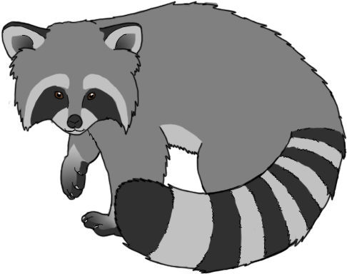 Now I Think The Red Panda And Tanuki Go Especially - Cartoon Racconpng (485x485), Png Download