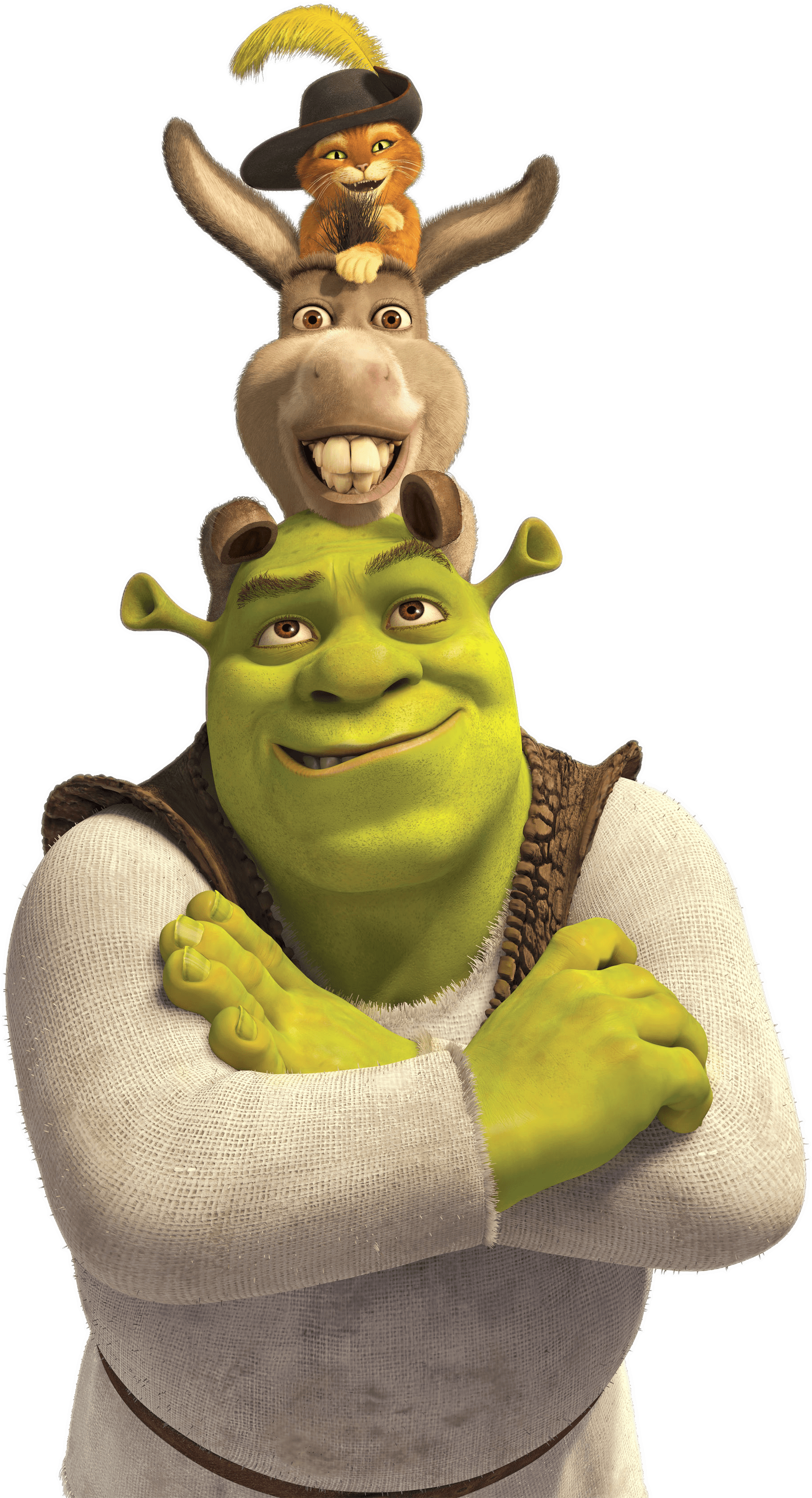 Shrek PNG, Transparent Shrek PNG Image Free Download - PNGkey