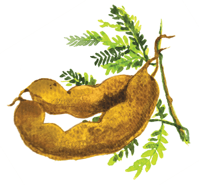 Mama Sita's Sinigang Sa Sampalok Mix - Illustration (403x376), Png Download