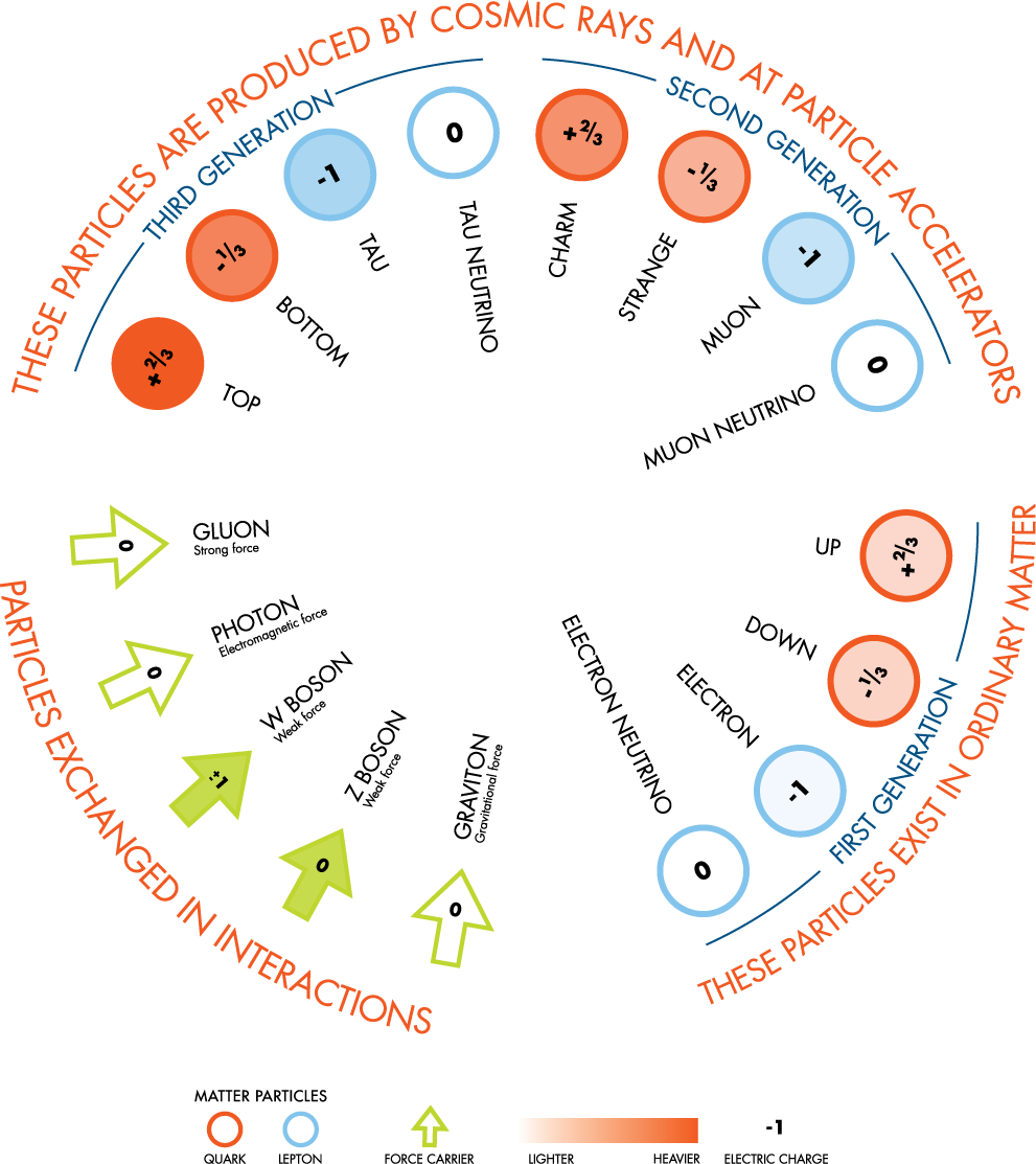 The Fundamental Particles - Particle (991x1113), Png Download