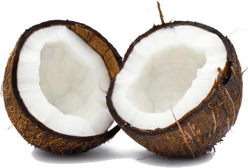 Coconut Duo - Coconut Breaking In Temple (400x400), Png Download