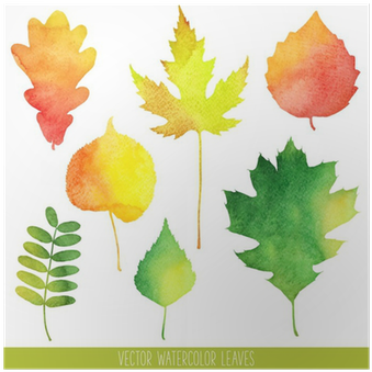 Fall Leaves Water Color (400x400), Png Download