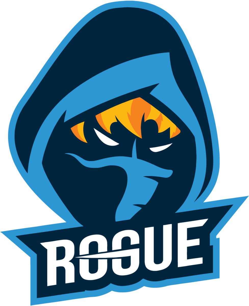 Rogue - Rogue Csgo (600x737), Png Download