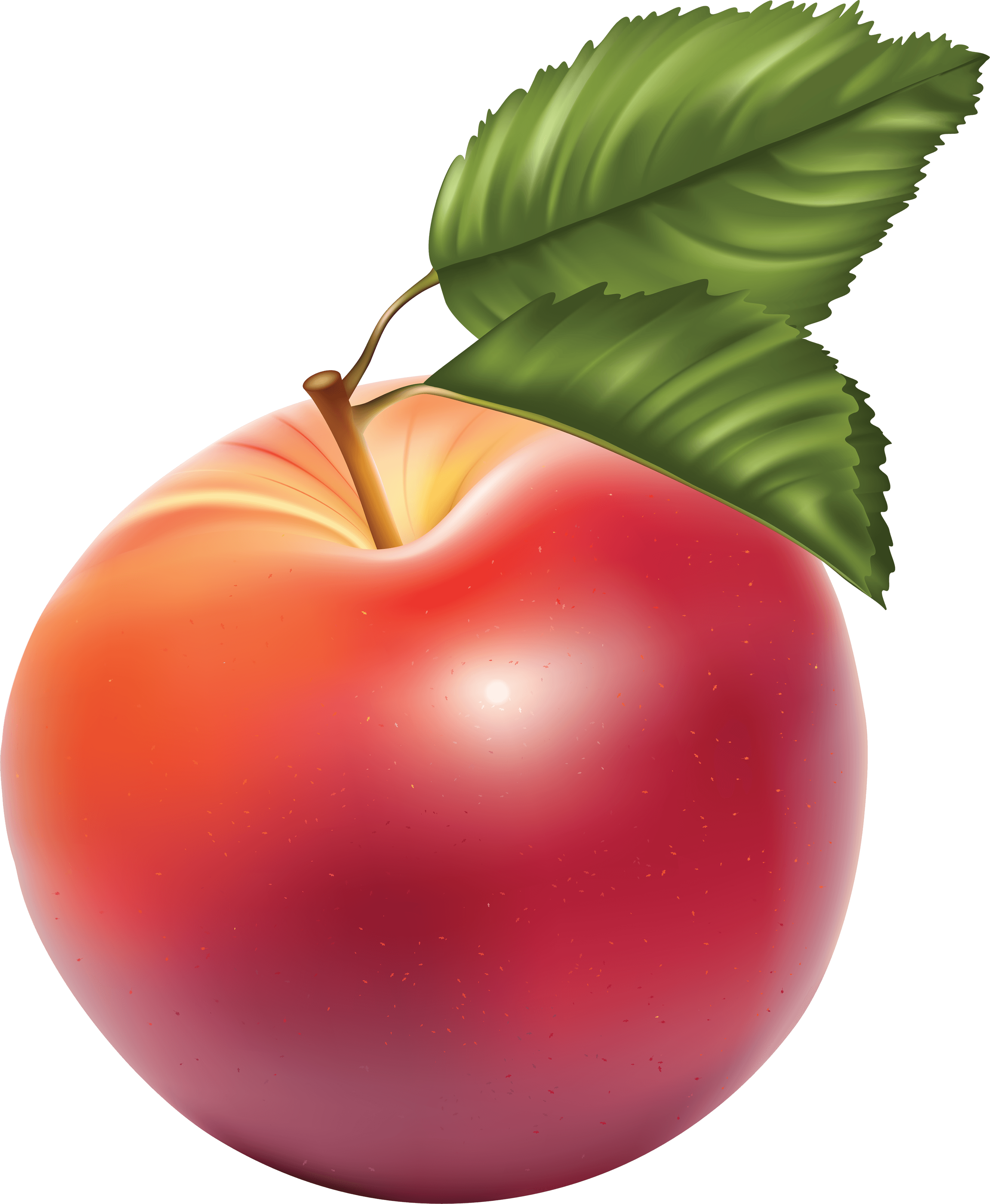 Picture Transparent Download Apple Png Clipart - Яблоко Пнг (2877x3499), Png Download