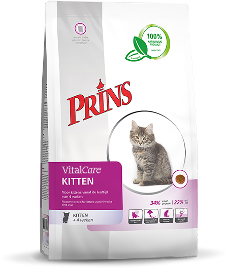 Download Kitten Prins Procare Active PNG Image with No Background - PNGkey.com