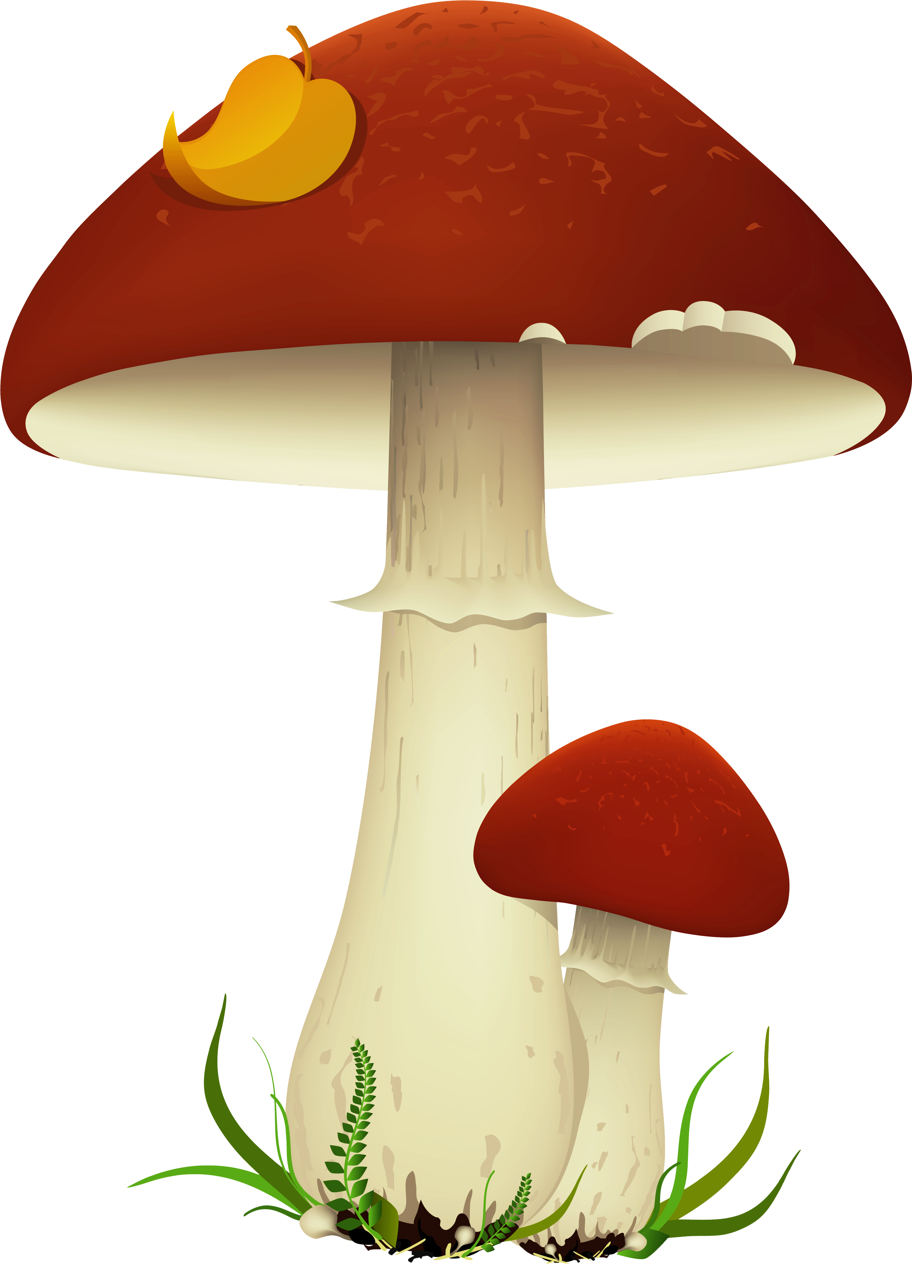 Mushroom Clipart No Background (3462x4797), Png Download