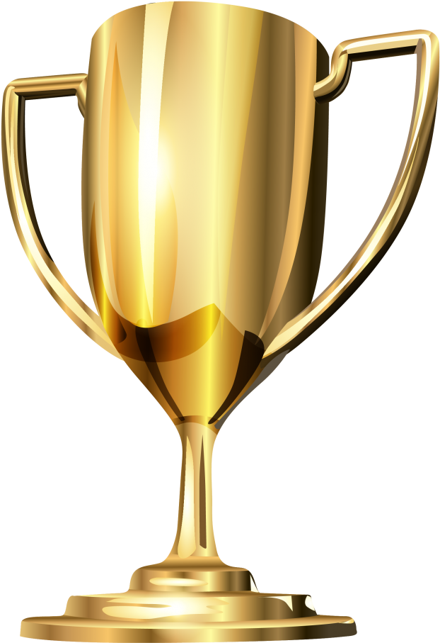Free Png Gold Cup Trophy Png Images Transparent - Foscam Fn3104h - 4 Ch (480x644), Png Download