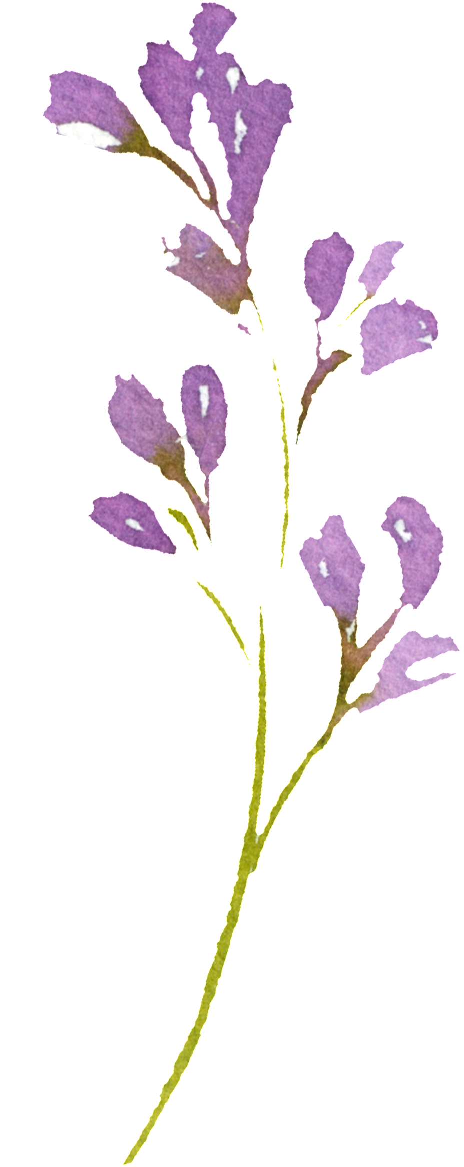 Hand Painted Romantic Purple Flower Png Transparent - Portable Network Graphics (1024x2486), Png Download
