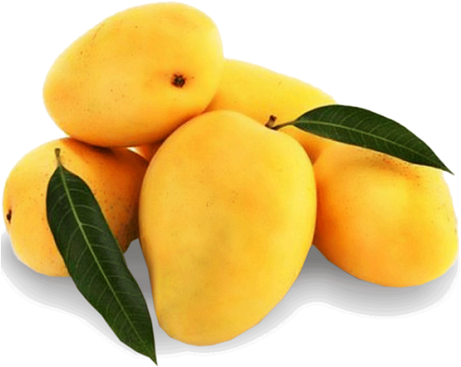 Mango Free Png Image - Fresh Mango (548x502), Png Download