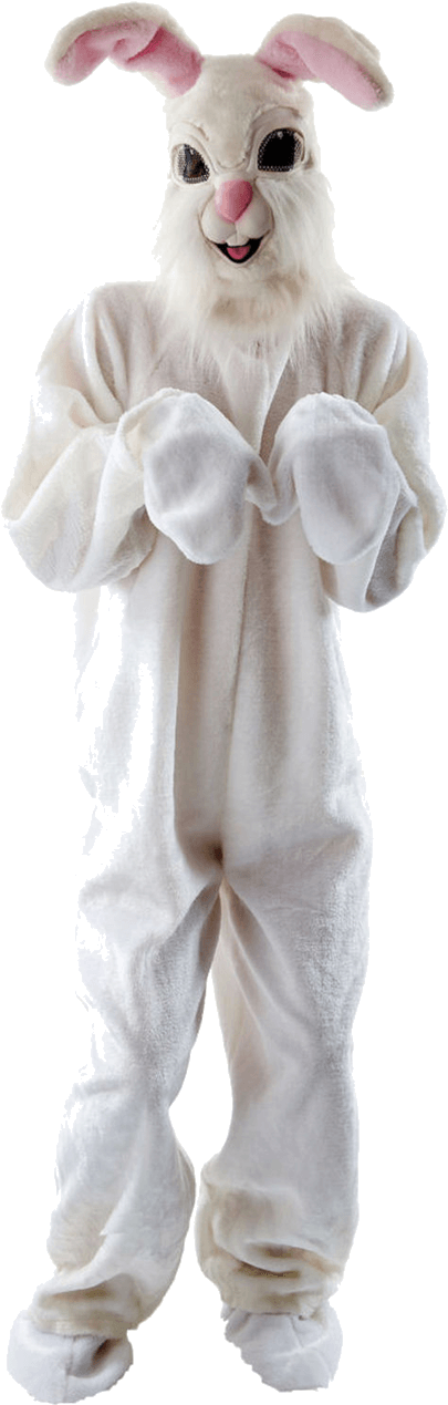 Easter Bunny Costume Png - Fluffy Easter Bunny Costume (800x1268), Png Download