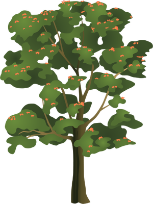 Ian Symbol Spathodea Campanulata - Tulip Tree Clip Art (300x400), Png Download